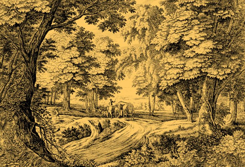 Carriage_in_forest
