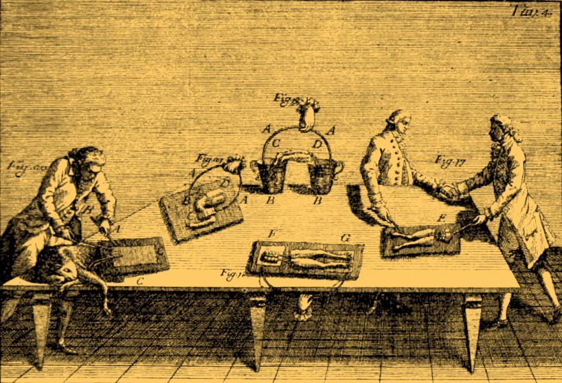 Galvani_laboratory