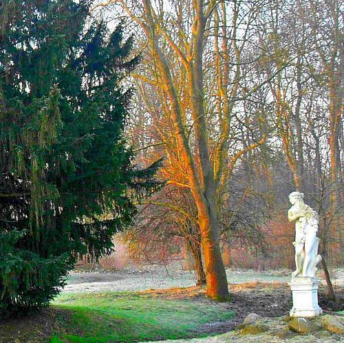 Dieskau_gallery