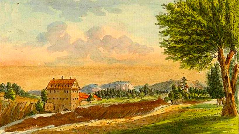 Saw_mill