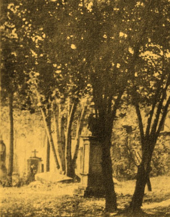 Auguste_Schneider_cemetery