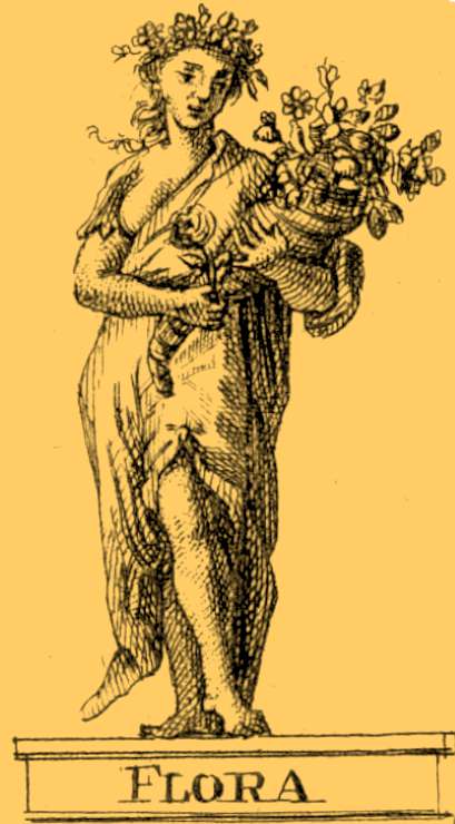 Flora