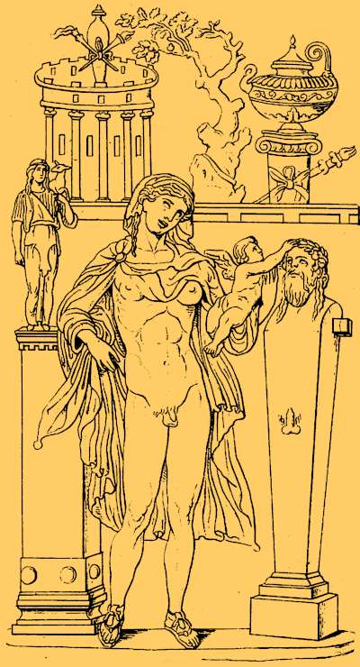 Hermaphrodite