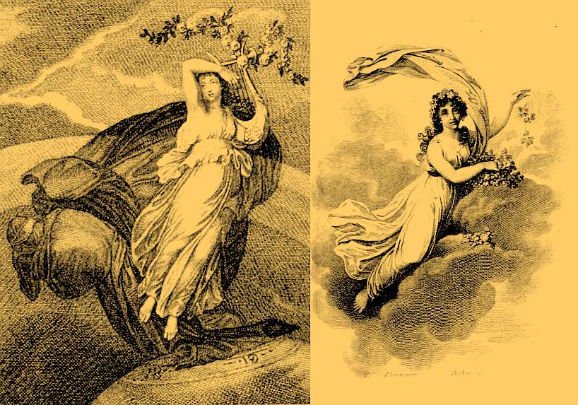 Veils_flying