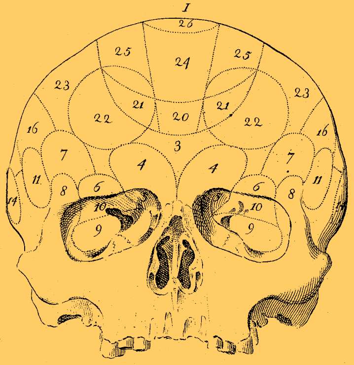 Labeled_skull_frontal
