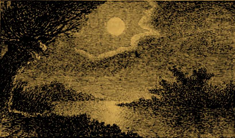 Moonlit_night