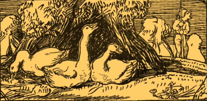 Three_geese_vignette