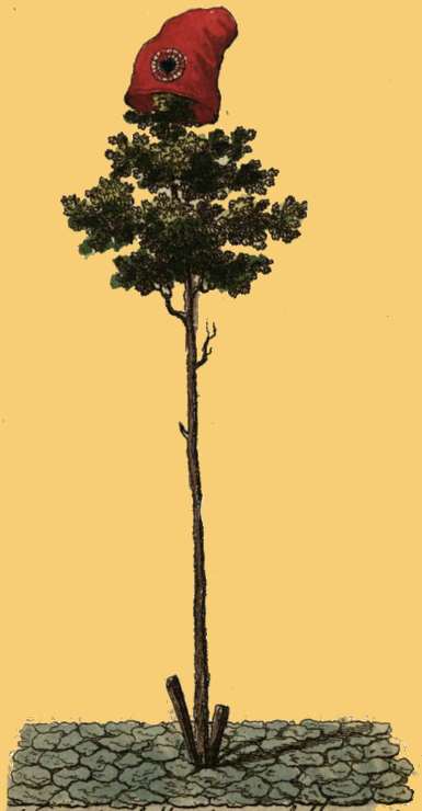 Phrygian_cap